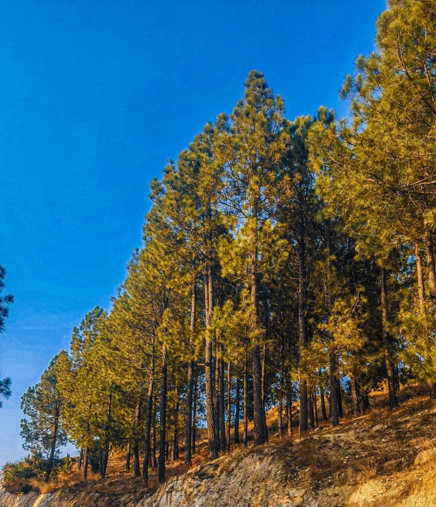 Best Travel Destinations for Unique Experiences 4 Travel Destinations, Latest travel Update, Air travel news, Travel Destinations 2026, Travel trends USA, Digital nomad visa countries, Top travel technology, Visa-free travel updates, Safe travel tips 2026, Tourism recovery news, New e-visa countries 2026, air travel news, travel news today, USA travel news